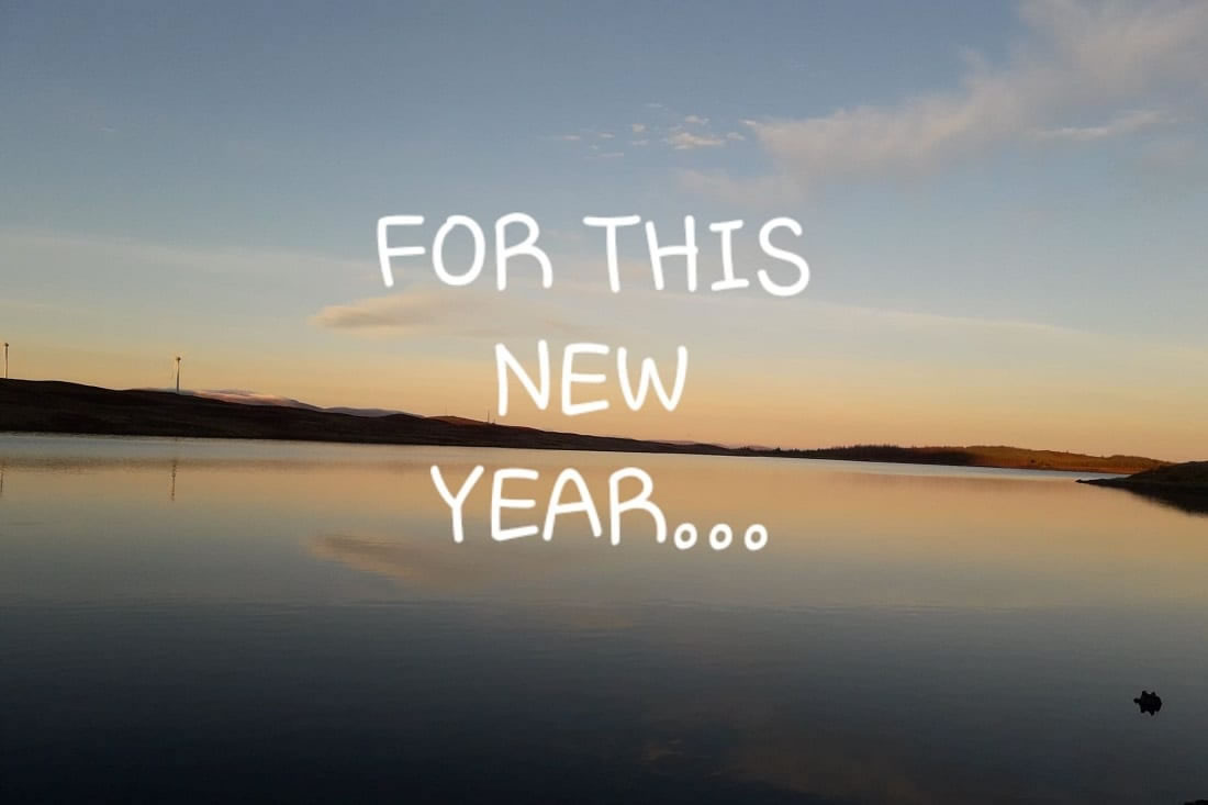 Read more about the article Happy New Year!