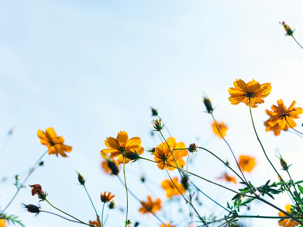 Read more about the article Spring Event Celebrations!