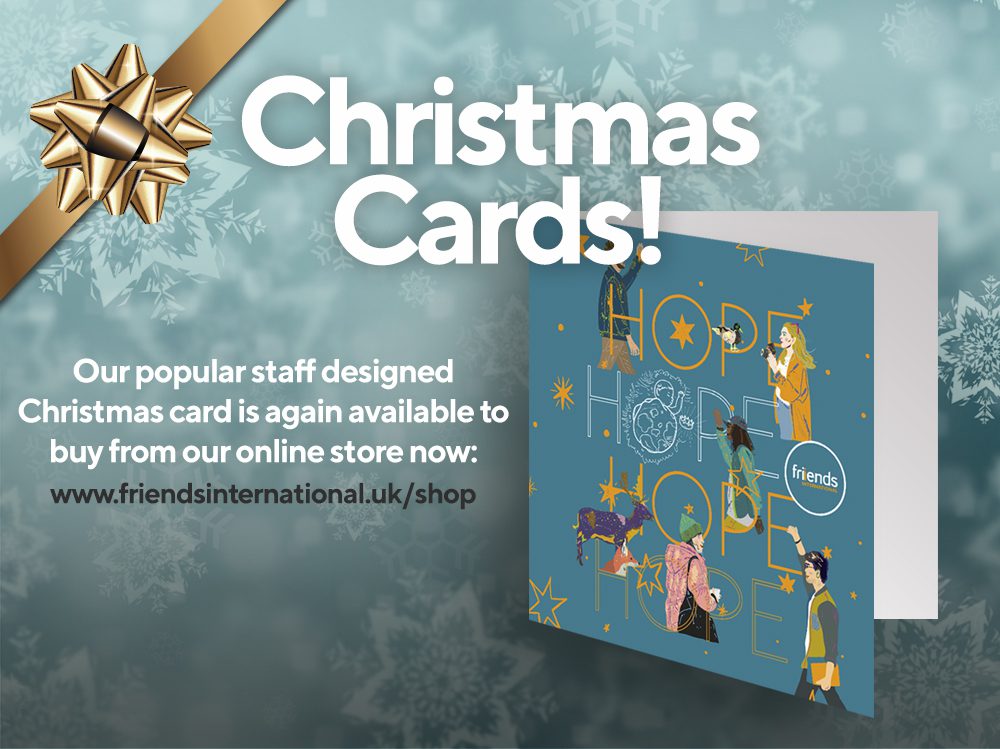 Read more about the article Christmas Cards – Order Yours Today!