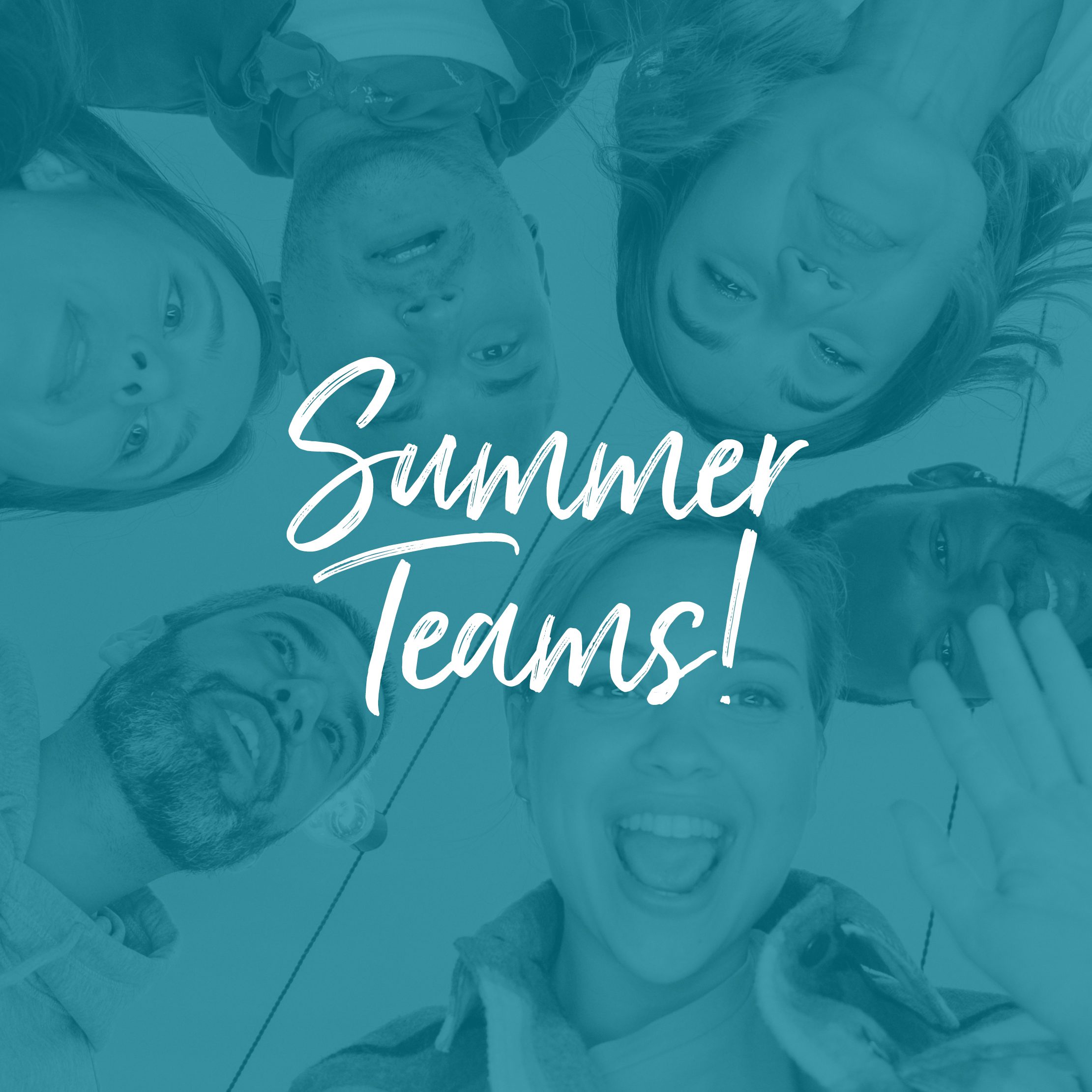 Read more about the article Summer Teams 2026